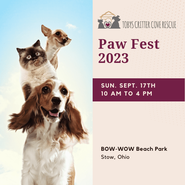 Paw Fest 2023 Tobys Critter Cove